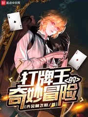 《打牌王的奇妙冒险》