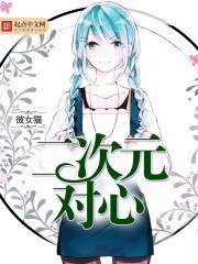 《二次元对心》