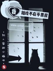 《我拍戏不在乎票房》