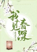 《我见春深(重生)》