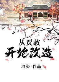 《(BG/红楼同人)从贾赦开始改造》