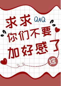 《(BG/综漫同人)求求你们不要加好感了》