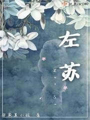 《左苏》