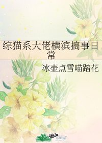 《(BL/综漫同人)综猫系大佬横滨搞事日常》