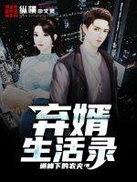 《弃婿生活录》
