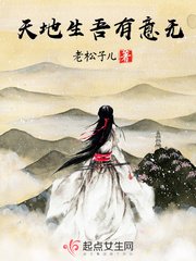 《天地生吾有意无》