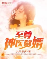 《至尊神医赘婿》