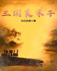 《三国良家子》