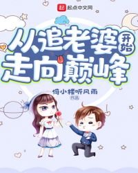 《从追老婆开始走向巅峰》
