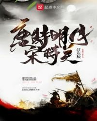 《唐时明月宋时关》