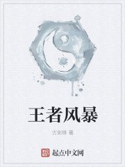 《王者风暴》
