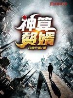《神算赘婿》