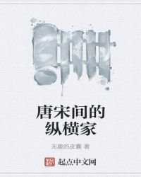 《唐宋间的纵横家》