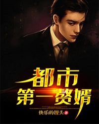 《都市第一赘婿》