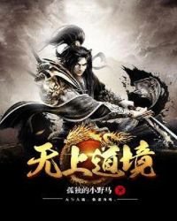 《无上道境》
