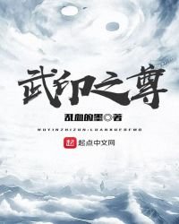 《武印之尊》