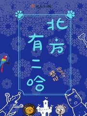 《北方有二哈》