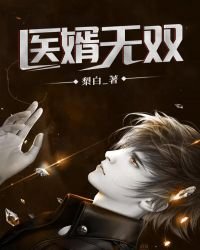 《医婿无双》