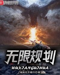 《无限规划》
