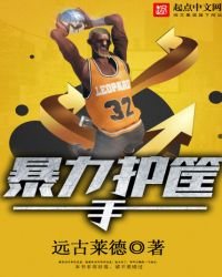《暴力护筐手》