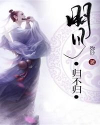 《明月归不归》