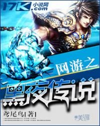 《网游之黑夜传说》