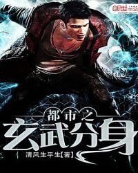 《都市之玄武分身》