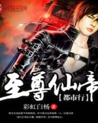 《至尊仙帝都市行》