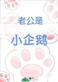 《老公是小企鹅》