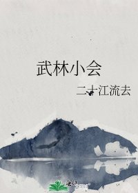《武林小会》