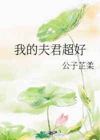 《我的夫君超好》