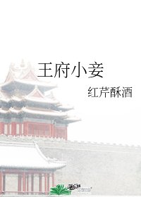 《王府小妾》