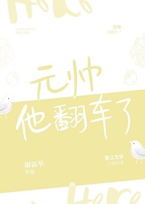 《元帅他翻车了》