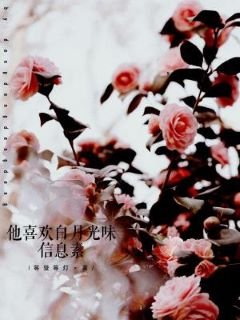 《他喜欢白月光味信息素》