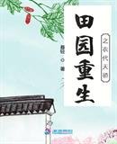 《田园重生之衣代天骄》