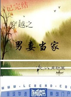 穿越之男妻当家