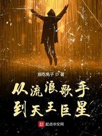 《从流浪歌手到天王巨星》