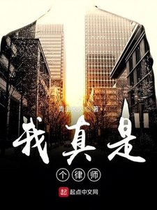 《我真是个律师》