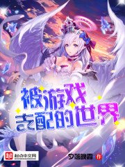 《被游戏支配的世界》
