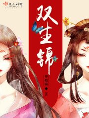 《双生锦》