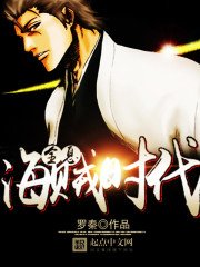 《全息海贼时代》