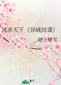 《凤求天下(异域间谍)》