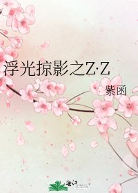 浮光掠影之Z·Z