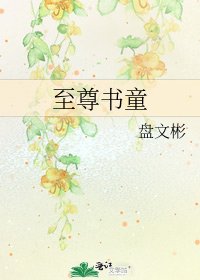 《至尊书童》