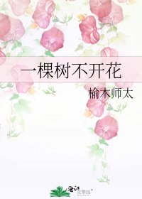 《一棵树不开花》