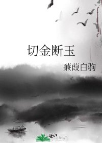《切金断玉》