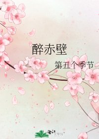 《醉赤壁》