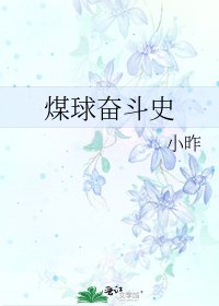 《煤球奋斗史》