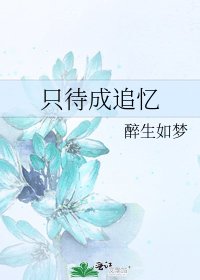 《只待成追忆》