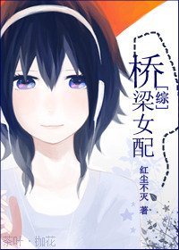 [综]桥梁女配